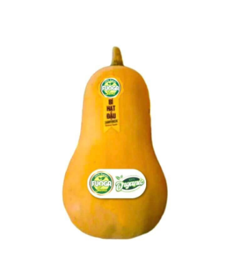 organic fresh pumpkin High Quality natural flavor using for food packing in carton made in Vietnam Manufacturer 8