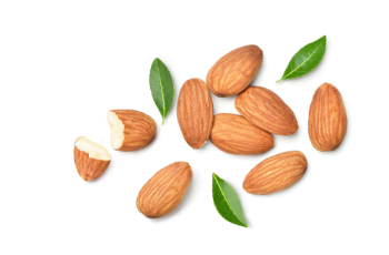 Almond Nuts Cheapest Almonds And Walnuts Sweet Taste Fruits Cheap Price Premium Food Snack Raw Almonds Fruit Dried From Vietnam 8