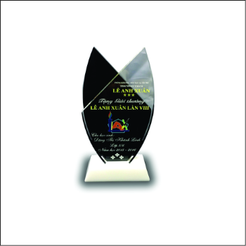 Acrylic Cutting Trophy High Specification Special Custom Business Gift Customized Packing Vietnam Logo Item 8