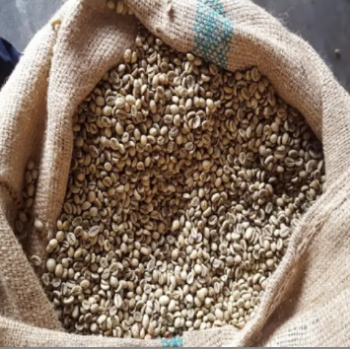 Robusta Green Bean Low MOQ Export Food High Protein Customized Packaging Made In Vietnam Trading