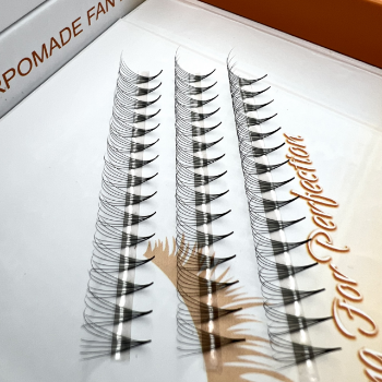 Camellia eyelashes Reasonable Price Beautiful color using for beauty pack in tray or box from Vietnam Manufacturer 3