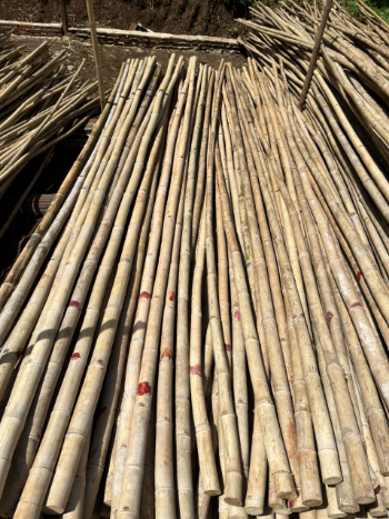 Sell bamboo poles in bulk Bamboo Cane, high-quality construction and decoration materials 6