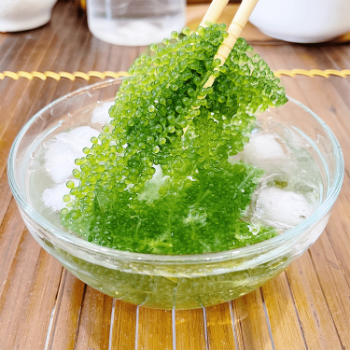 Salted Sea Grapes Green Food - Dehydrated Seaweed - Organic - Umibudo - Green Caviar /200 Grams From Viet Nam 4