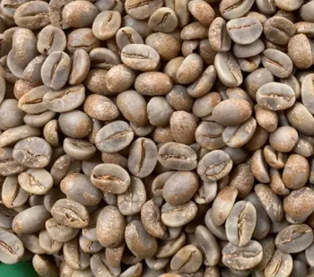 Vietnam Arabica Coffee Grade 1 Raw Coffee Beans Natural Using For Making Food And Beverage No Additives From Vietnam 5