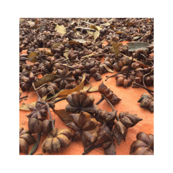 Star Anise Seeds Price Hot Selling Odm Service Premium Grade Safe For Health From Vietnam Manufacturer 5