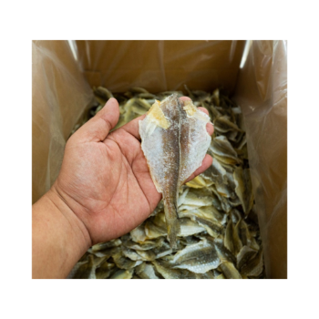 Stock Fish Dried Cod Norway Yellow Croaker Fish Cheap Price Export Ly Huynh Tasty Vacuum Pack Vietnam Manufacturer 5