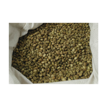 Green Bean Coffee S18 Raw Bitterness Arabica Green Coffee Beans Premium Vietnamese 96% Maturity Caffeine Made In Vietnam 4