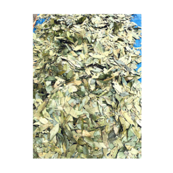 Cinnamon Leaf Quality Assurance Natural Green Raw Dried Cinnamon Leaf For Barbecue Wholesale Price 100% Pure Organic 6