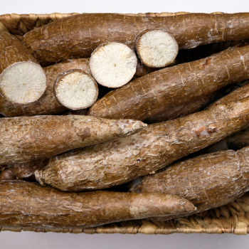 High Quality Cassava Slice Dried Cassava Competitive Price Viet Nam Products Tapioca Chips For Export Agricultural 5