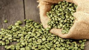 Customized Packaging Coffee Green Beans All Size Raw Good Scent Drinks Iso Brc Haccp Halal Vietnamese Manufacturer 1