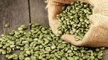 Customized Packaging Coffee Green Beans All Size Raw Good Scent Drinks Iso Brc Haccp Halal Vietnamese Manufacturer