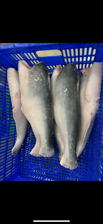 PANGASIUS HGT Wholesale Best Choice Delicious Taste Used For Cooking HACCP Certification Customized Packing Vietnam Manufacturer 5