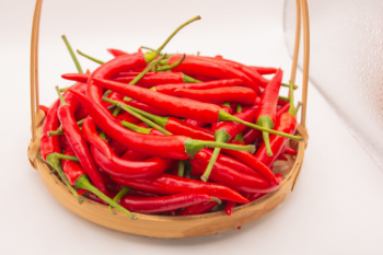 Fresh Chili Non Toxic Premium Organics High Grade Fresh Chilli Agriculture Style Packing Herbs Weight Form Vietnam Manufacturer 5