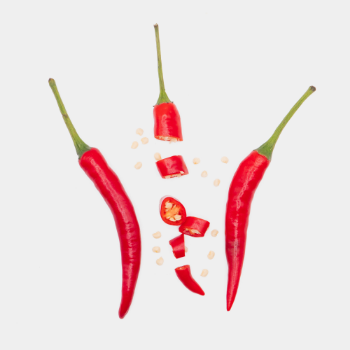 Fresh Chili Non Toxic Premium Organics High Grade Fresh Chilli Agriculture Style Packing Herbs Weight Form Vietnam Manufacturer 1