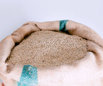 White Pepper Vietnam High Quality Marinade Marinated Meat Fast Delivery Export Sack Jumbo Bag From Vietnam Manufacturer