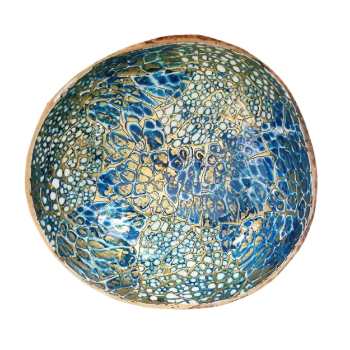 Polished Mother Of Pearl Coconut Shell Bowl Wholesale from 100% natural coconut salad bowl made in Vietnam 8