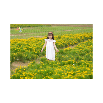 Girl's Dress with Chest Texture Flower Girl Dresses Good Quality Top Favorite Product Party Clothing Pretty Pattern 11