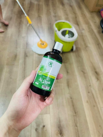 Good Quality items from Vietnam Healing Solutions Oils Organic 100% Pure Melaleuca White Essential Oil  Melaleuca oil 2024 Vietnam 2