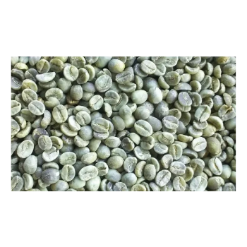 Green Bean Coffee S18 Raw Bitterness Arabica Green Coffee Beans Premium Vietnamese 96% Maturity Caffeine Made In Vietnam 2