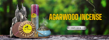 SON TRAM AGARWOOD COMPANY LIMITED