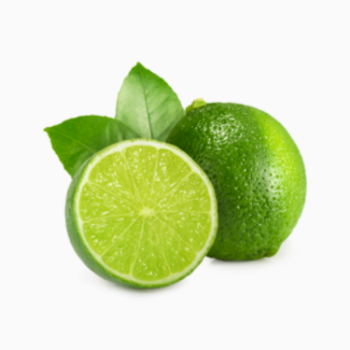 The New Lime Without Seed Keep Cool Or Refrigerated Green And Pale Yellow Organic Packed In Box Vietnamese Manufacturer 1