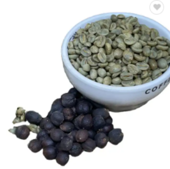 Green Arabica Coffee Beans Vietnamese High Quality Cheap Bulk 98% Maturity Arabica Coffee Bean Price For Sale 1