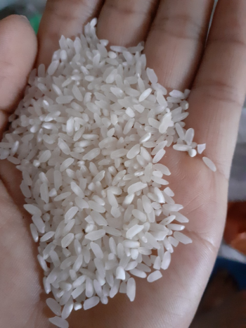 Khang Dan Rice Premium Rice DA Food Customized Packaging Made In Vietnam 1