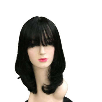 100 Human Hair Free Shipping Full Lace Wigs Human Hair, Straight Body Weave Human Hair Wigs 1