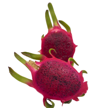 Dragon Fruit Haccp High Quality For Export Us Viet Tropical Fruit Carton Box Made In Vietnam Manufacturer 1