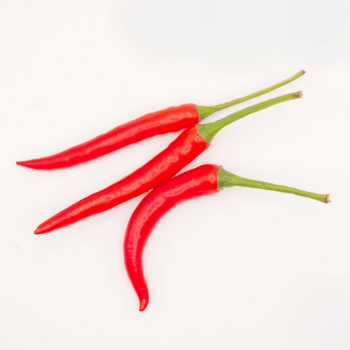 Cheap Price Fresh Chili Organics High Quality Fresh Chilli Agriculture Style Packing Herbs Weight Form Vietnam Manufacturer 2