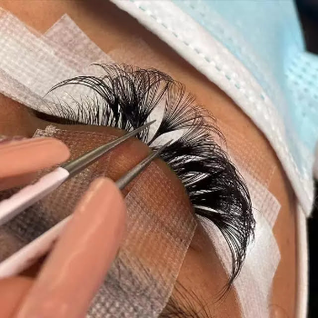 Classic Lash Extention Cheap Price Synthetic Hair Korea Pbt Eye Makeup Export Customized Packaging Vietnamese Manufacturer