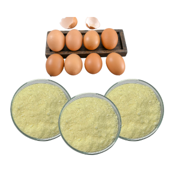 Good For Health Egg White Powder Organic Supplement Dried Egg Whites Cheap Price Egg White Protein Powder Made In Vietnam 6