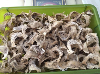 Dry Bird Nest Fast Delivery Cleaned Nutrious Certificate Of Food Safety Conditions 100Gram One Box Vietnam Manufacturer