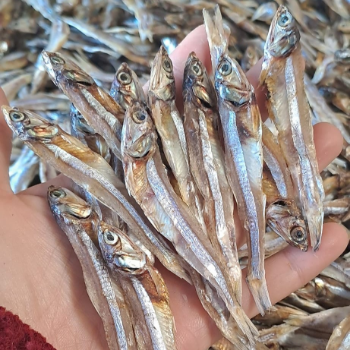 Hot Selling Dried Anchovy Fish For Exporting Dried Anchovy Factory Professional Production Bulk Dried Small Fish From Wholesale 5