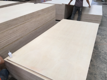 Best Quality Birch Plywood For Furniture Customized Fast Delivery Customized Packaging Made In Vietnam Manufacturer 1