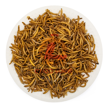 Dried Mealworm For Fish Natural Export Animal Feed High Protein Customized Packaging Made In Vietnam Manufacturer 3