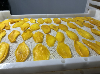 Dried Mango No Additives No Preservative Packing Specification Half Slices 100% mango, Sweet and sour Cheap price OEM/ODM Low MO 2