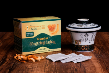 Tea Cordyceps & Ginseng Good Choose Natural Cultivated Agrimush Brand Iso Ocop Put In Desiccant Packaging Box Vietnam 7