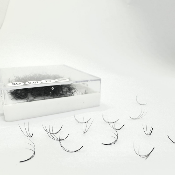 Eyelash Classic Volume High Quality Handmade Pbt Silk/Mink Black Viet Nam Eyelash Extensions Lash Box Manufacturer 7