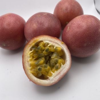 Whole Passion Fruit For Export Us Haccp Reasonable Price Wholesales Fresh Customized Packaging Made In Vietnam Manufacturer 2