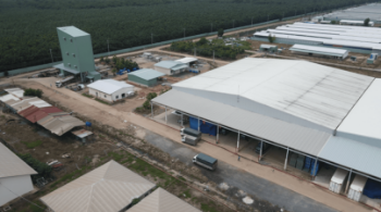 QL FARMS (TAY NINH) LIABILITY LIMITED COMPANY