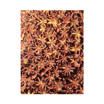 100% Organic Dried Broken Star Anise Single Spices & Herbs Anise Seed From Vietnam Manufacturer High Quality 5