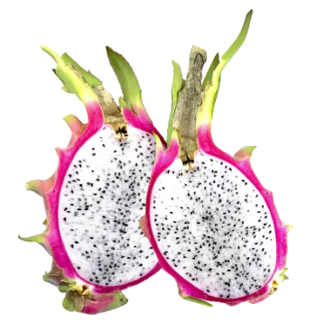 Fresh White Dragon Fruit Competitive Price No Preservatives Using For Food Export Customized Packing From Vietnam Manufacturer