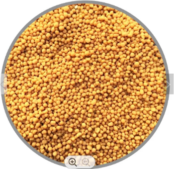 Great Diammonium Hydrogen Phosphate (DAP) fertilizer - Water Soluble Ammonium Phosphate salts Manufacture in Vietnam best price 1