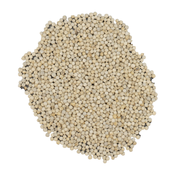 Raw Dried White Pepper Best Selling Using For Food Fast Delivery Export Customized Packing Vietnamese Manufacturer 5