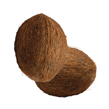 The Best Dry Coconut Used As A Seasoning For Dishes 100% Dried Coconut Organic Packed In Box From Vietnam Manufacturer 2