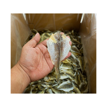 Dried Fish From Viet Nam Yellow Croaker Fish Cheap Price Export Ly Huynh Tasty Vacuum Pack From Vietnam Manufacturer 2