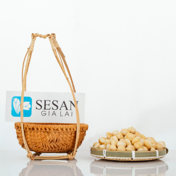 Macadamia Nuts Raw Organic High Quality ISO Certification Sesan Gia Lai Brand From Viet Nam 1