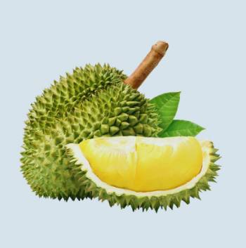 Frozen Durian Fruit Paste Without Seeds and 6 Ri frozen fruit durian on sale Vietnam 4