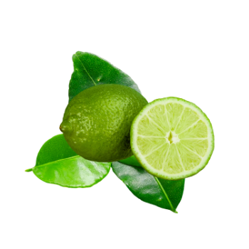 Fresh Lime Low Calorie Fresh High Quality  Smells Good Food Vinagreen Carton Box Plastic Wrap Vietnam Manufacturer 1